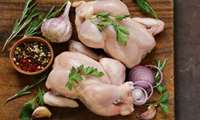 Iran chicken meat exports soar amid increased production